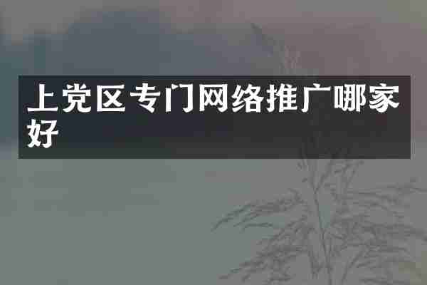 上党区专门网络推广哪家好