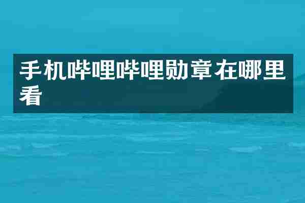 手机哔哩哔哩勋章在哪里看