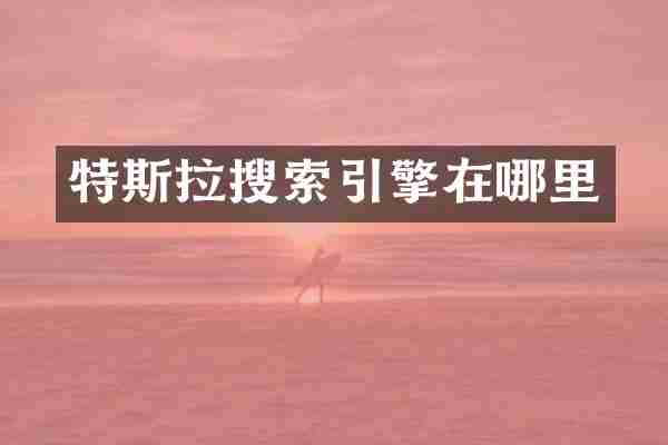 特斯拉搜索引擎在哪里