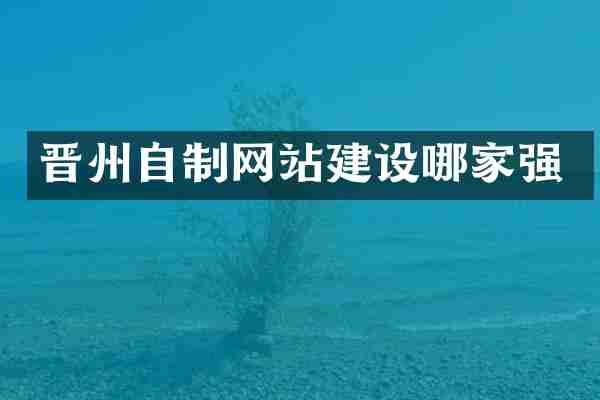 晋州自制网站建设哪家强