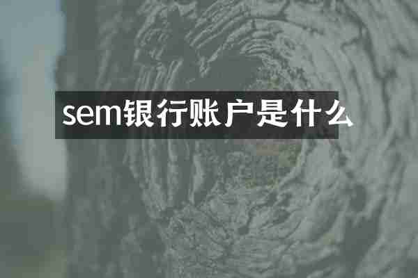 sem银行账户是什么