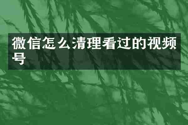 微信怎么清理看过的视频号