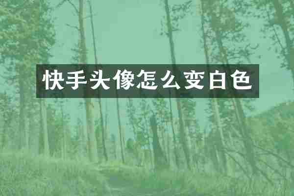 快手头像怎么变白色