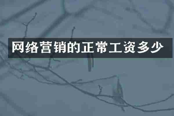 网络营销的正常工资多少