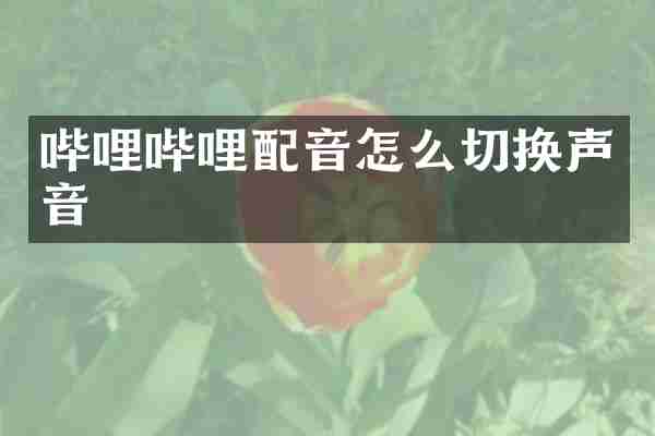 哔哩哔哩配音怎么切换声音