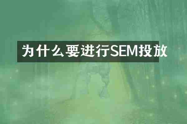 为什么要进行SEM投放