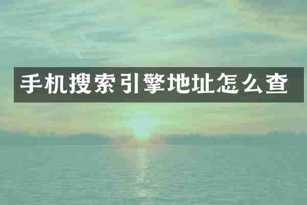手机搜索引擎地址怎么查
