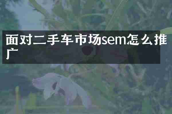 面对二手车市场sem怎么推广