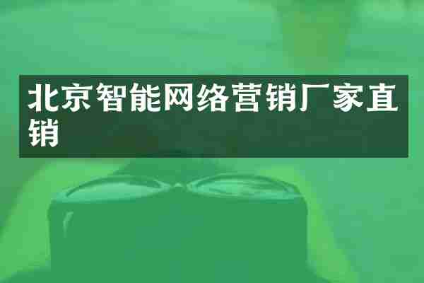 北京智能网络营销厂家直销
