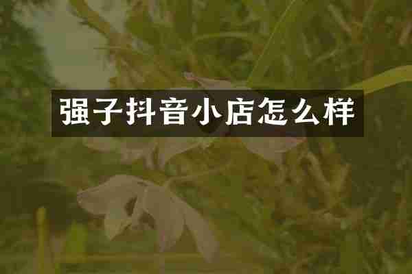 强子抖音小店怎么样