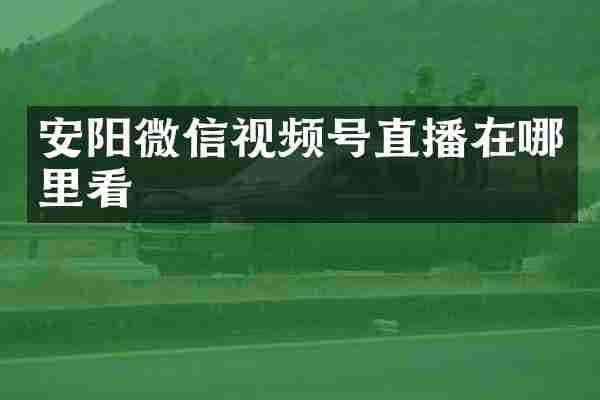 安阳微信视频号直播在哪里看