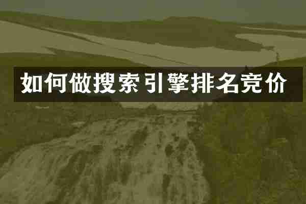 如何做搜索引擎排名竞价