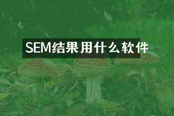 SEM结果用什么软件
