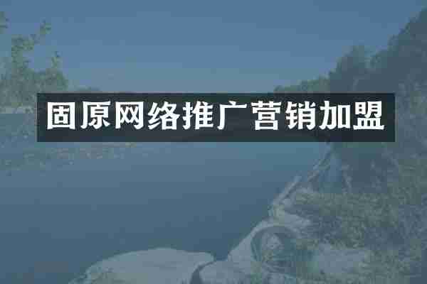 固原网络推广营销加盟