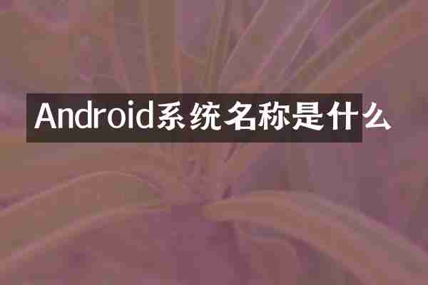 Android系统名称是什么