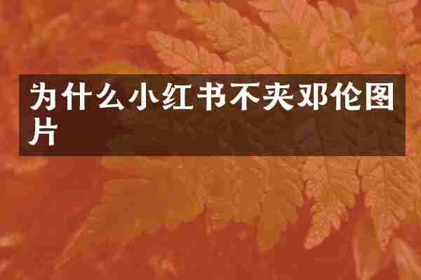 为什么小红书不夹邓伦图片