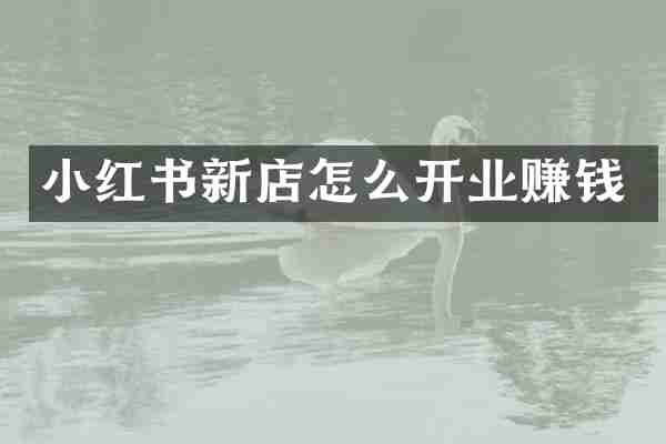 小红书新店怎么开业赚钱