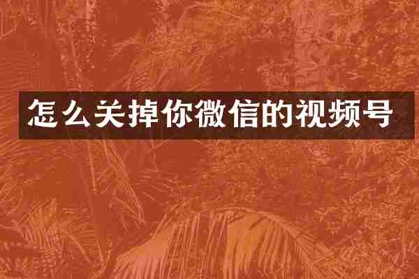 怎么关掉你微信的视频号