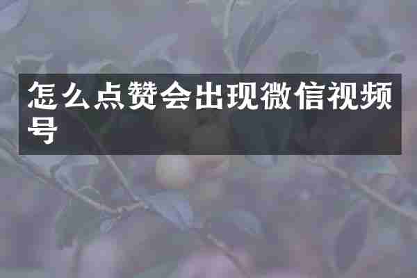 怎么点赞会出现微信视频号