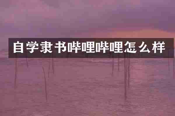 自学隶书哔哩哔哩怎么样