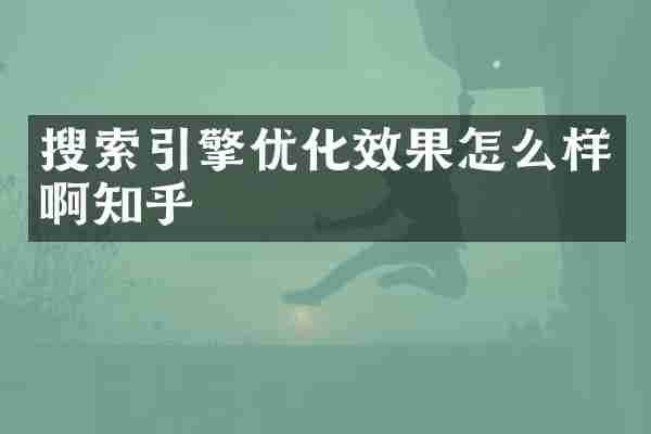 搜索引擎优化效果怎么样啊知乎