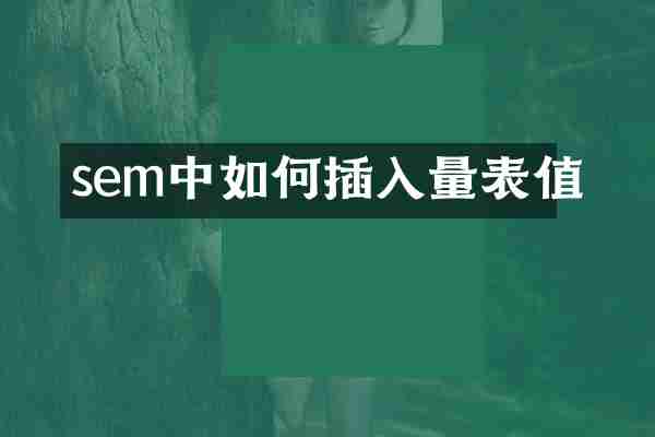 sem中如何插入量表值