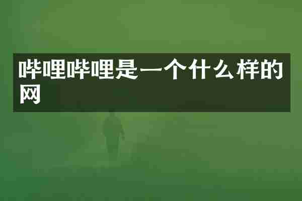 哔哩哔哩是一个什么样的网