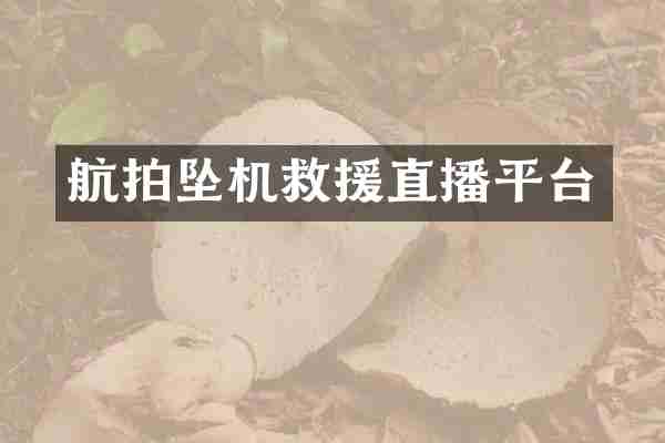 航拍坠机救援直播平台