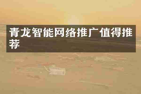 青龙智能网络推广值得推荐