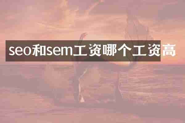 seo和sem工资哪个工资高