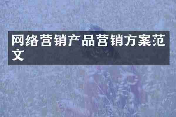 网络营销产品营销方案范文