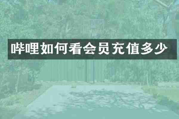 哔哩如何看会员充值多少