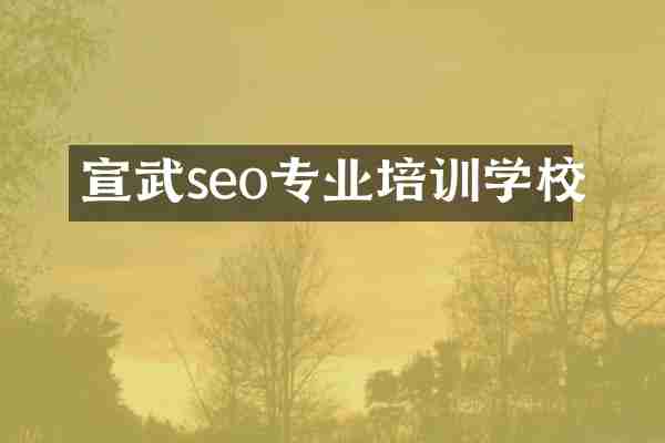 宣武seo专业培训学校