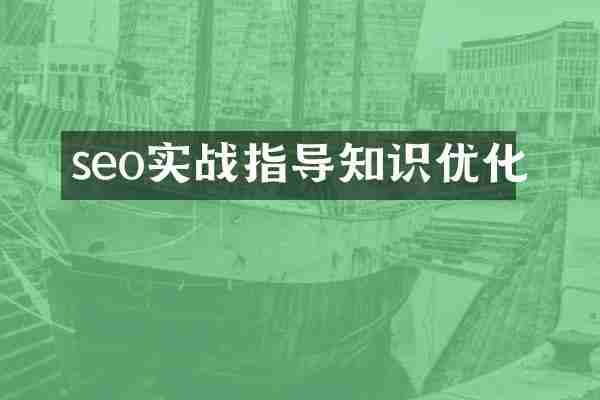 seo实战指导知识优化