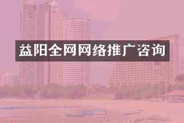 益阳全网网络推广咨询