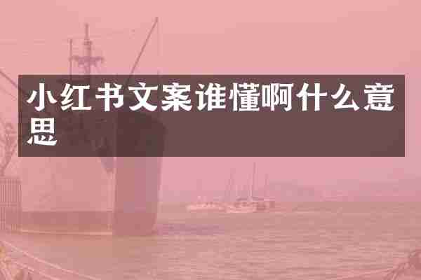 小红书文案谁懂啊什么意思