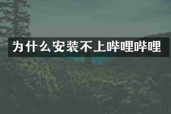 为什么安装不上哔哩哔哩