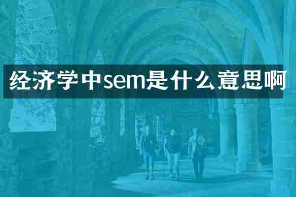 经济学中sem是什么意思啊