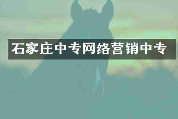 石家庄中专网络营销中专