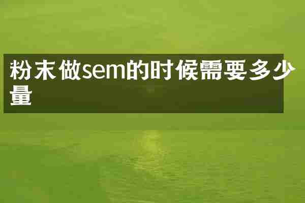 粉末做sem的时候需要多少量