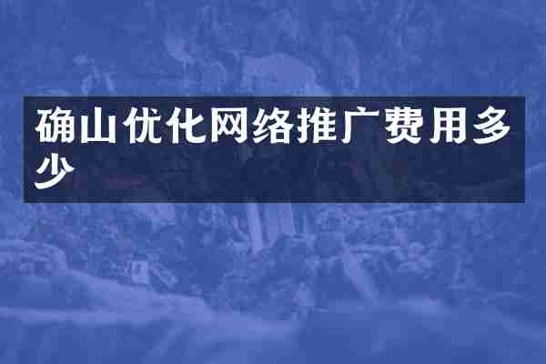 确山优化网络推广费用多少