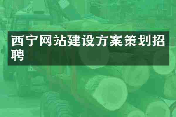西宁网站建设方案策划招聘