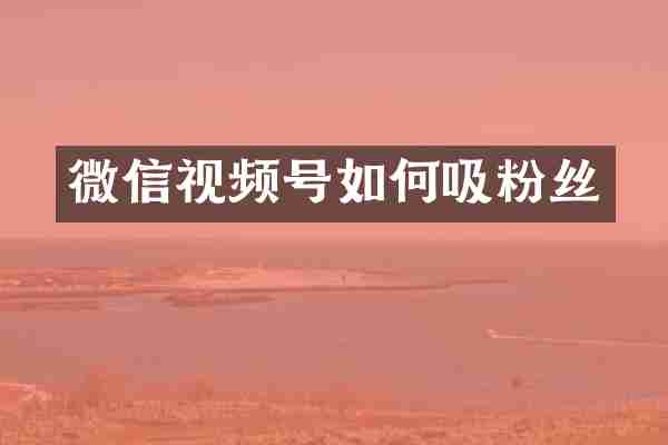 微信视频号如何吸粉丝