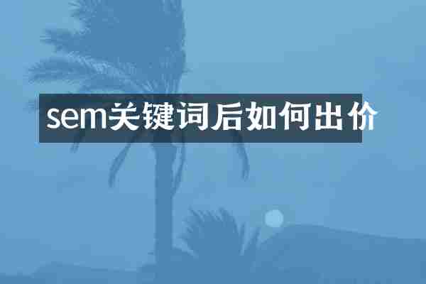 sem关键词后如何出价