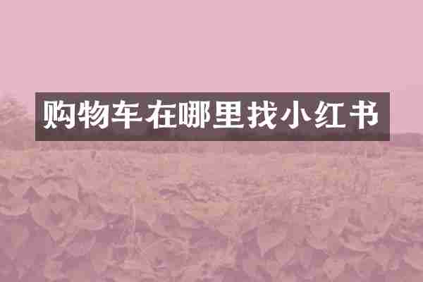 购物车在哪里找小红书