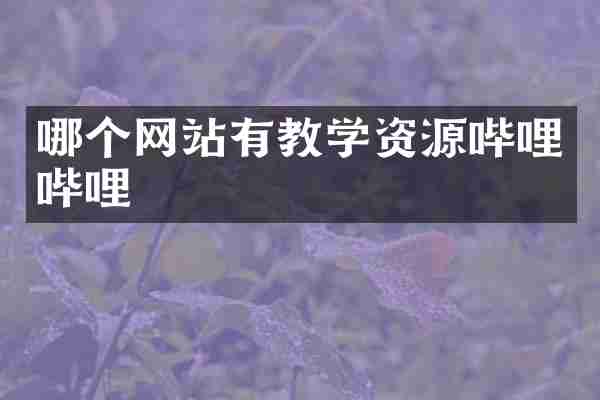 哪个网站有教学资源哔哩哔哩