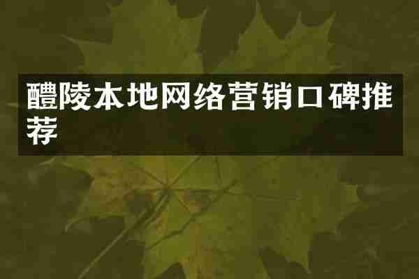 醴陵本地网络营销口碑推荐