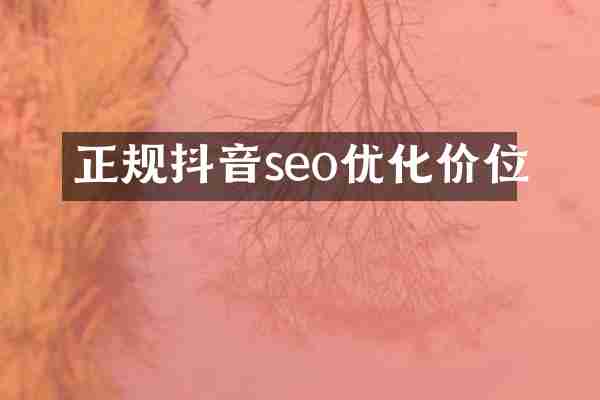 正规抖音seo优化价位