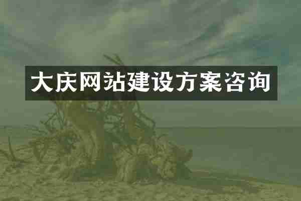 大庆网站建设方案咨询