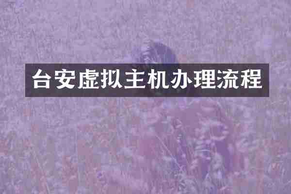 台安虚拟主机办理流程